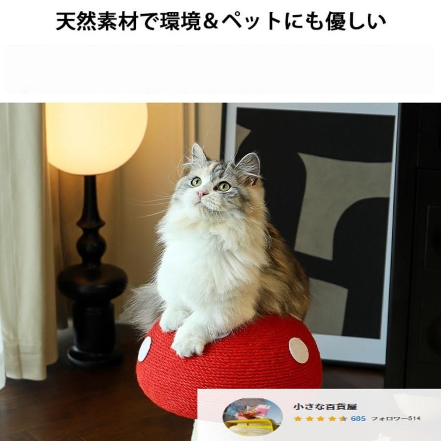 猫 爪とぎ
