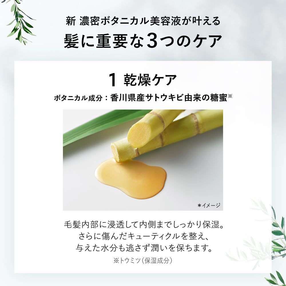 トリートメント