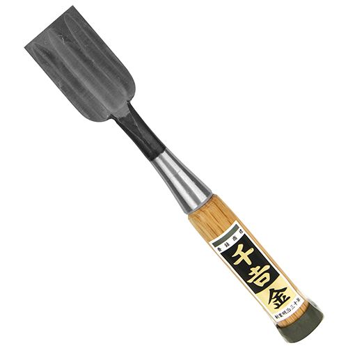 真作】掛軸 尾竹国観 白牡丹図 気品あふれる花鳥画 繊細な筆致 T36