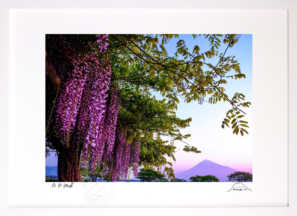 版画 絵画 富士と藤 インテリア 額入り 富士山 額装込 風景画 油絵 ポスター アート アートパネル リビング 玄関 プレゼント モダン アートフレーム 飾る Mサイズ おしゃれ 壁掛け 絵