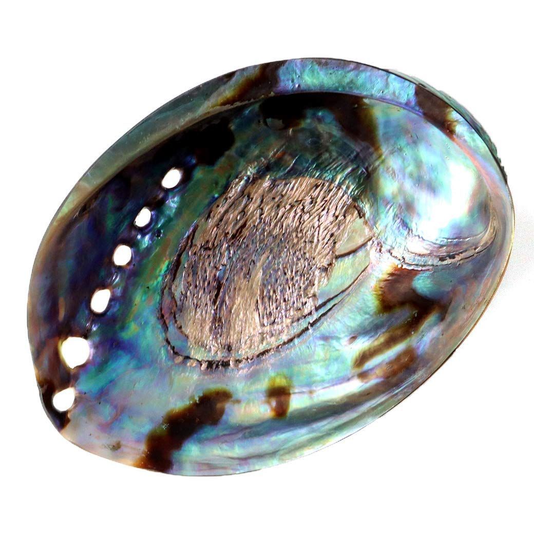 SEV HIRAME FIT Lサイズ スポーツサポーター 健康用品