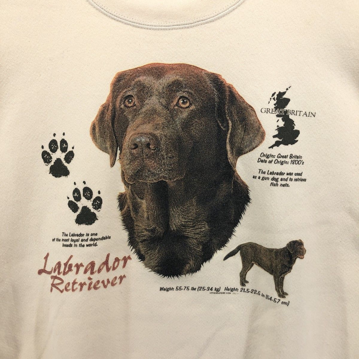 古着 90年代 リー Lee heavy weight 犬柄 Labrador Retriever