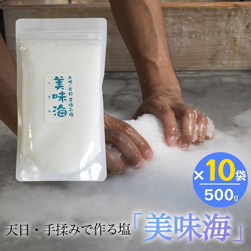 天日塩 美味海 500g 10袋セット うまみ 海工房 天日自然海塩 国産 塩 天然 高知県産 調味料