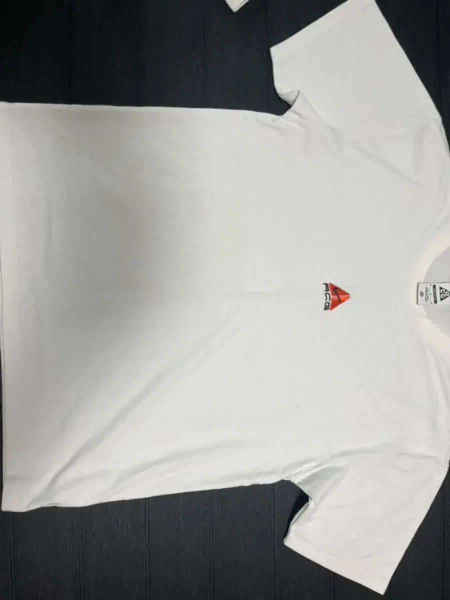 Nike(ナイキ） acg 半袖 Tシャツ
