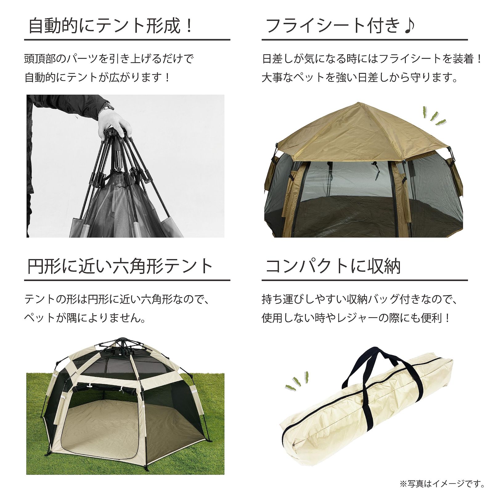 猫 ブラウン