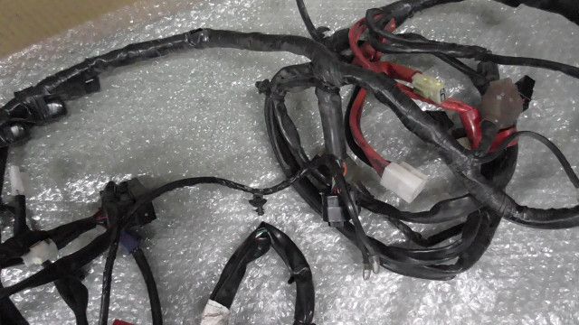 メインハーネス