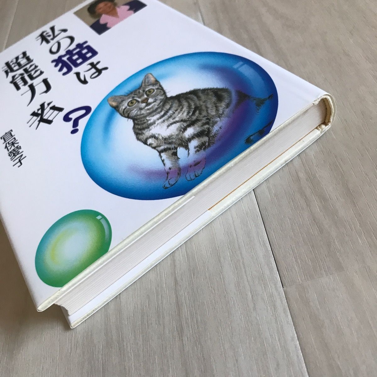 私の猫は超能力者?