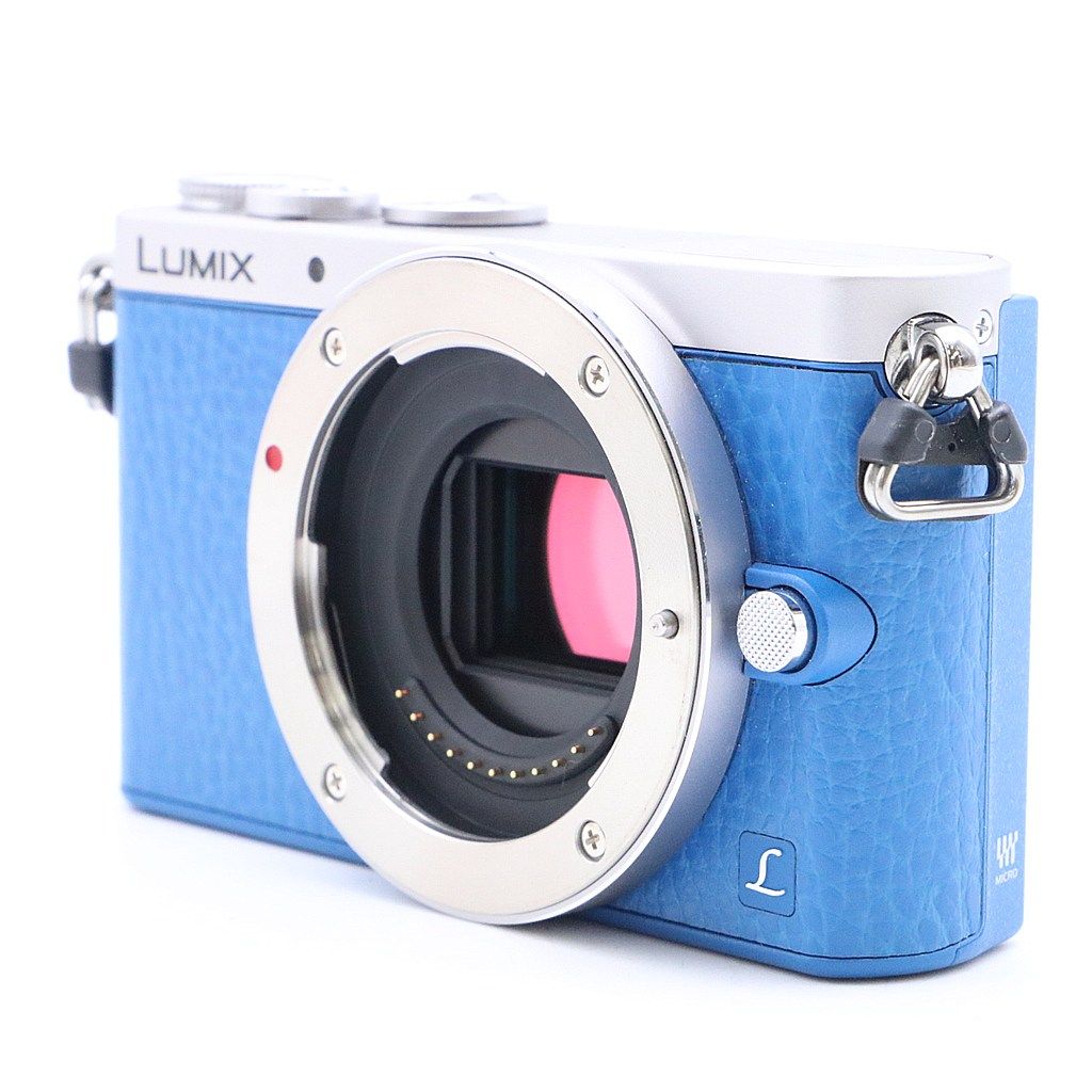 極上品】 Panasonic Lumix DMC-GM1S 12-32mm レンズキット