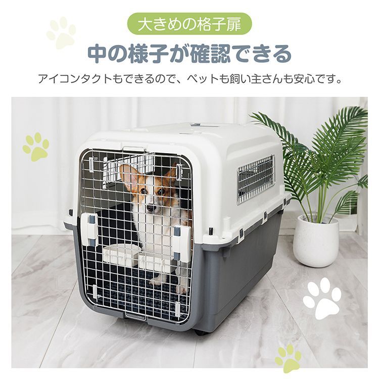 いぬ