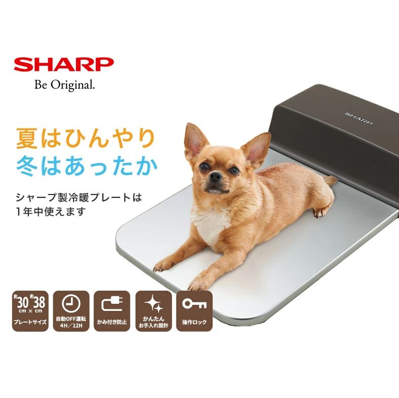 1点限りサンプル特価】ペット用冷暖マット シャープ - メルカリ