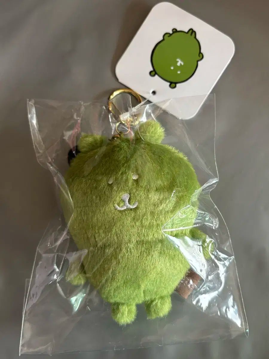 現物 8 ／ 28 日本 自分ツッコミくま カラー 抹茶 緑