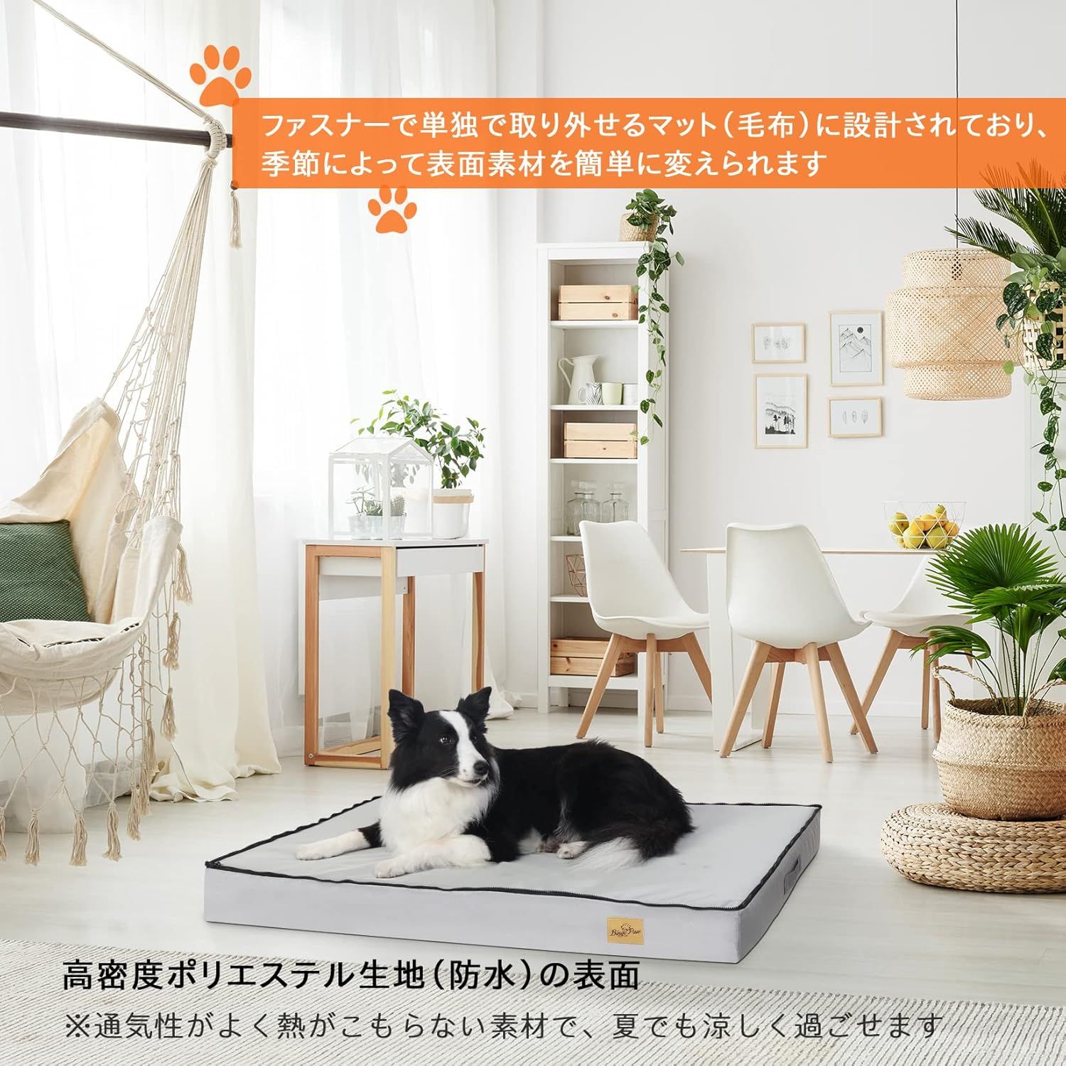 中型犬 耐噛
