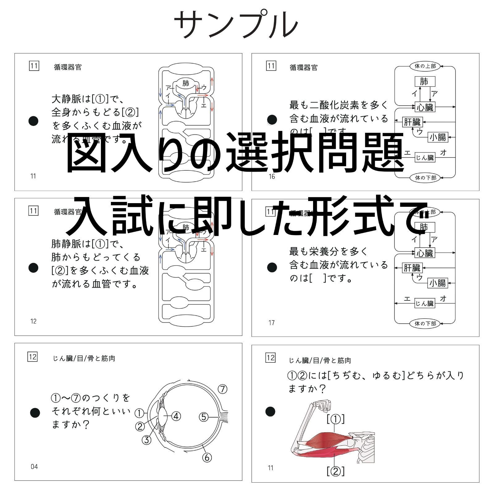 中学受験 生物マスター マスターシリーズ② 暗記カード - メルカリ