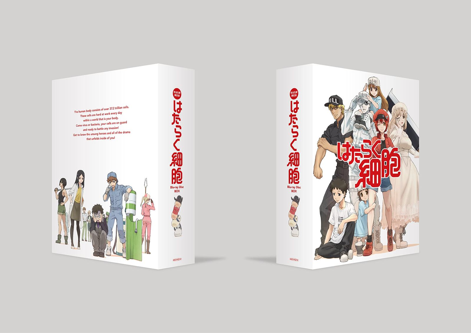 はたらく細胞 Blu-ray Disc BOX 完全生産 版 花澤香菜 出演 形式