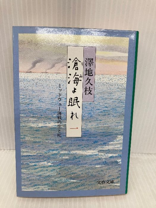 滄海（うみ）よ眠れ　１～５巻セット　 澤地久枝 Amazon.co.jp: 澤地久枝「滄海よ眠れ ミッドウェー海戦の生と死