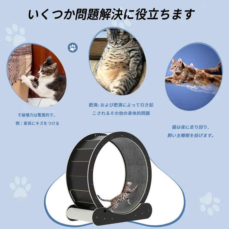 多頭飼い 猫用