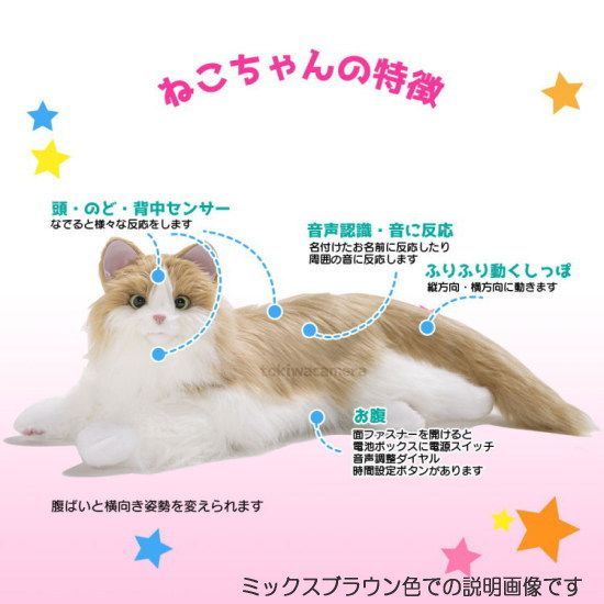 アイスグレー