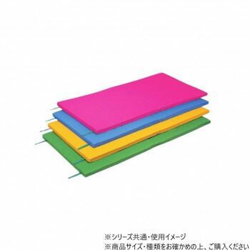 ダンノ DANNO ライトマット 90X180X4cm 屋内用 ブルー D4640B