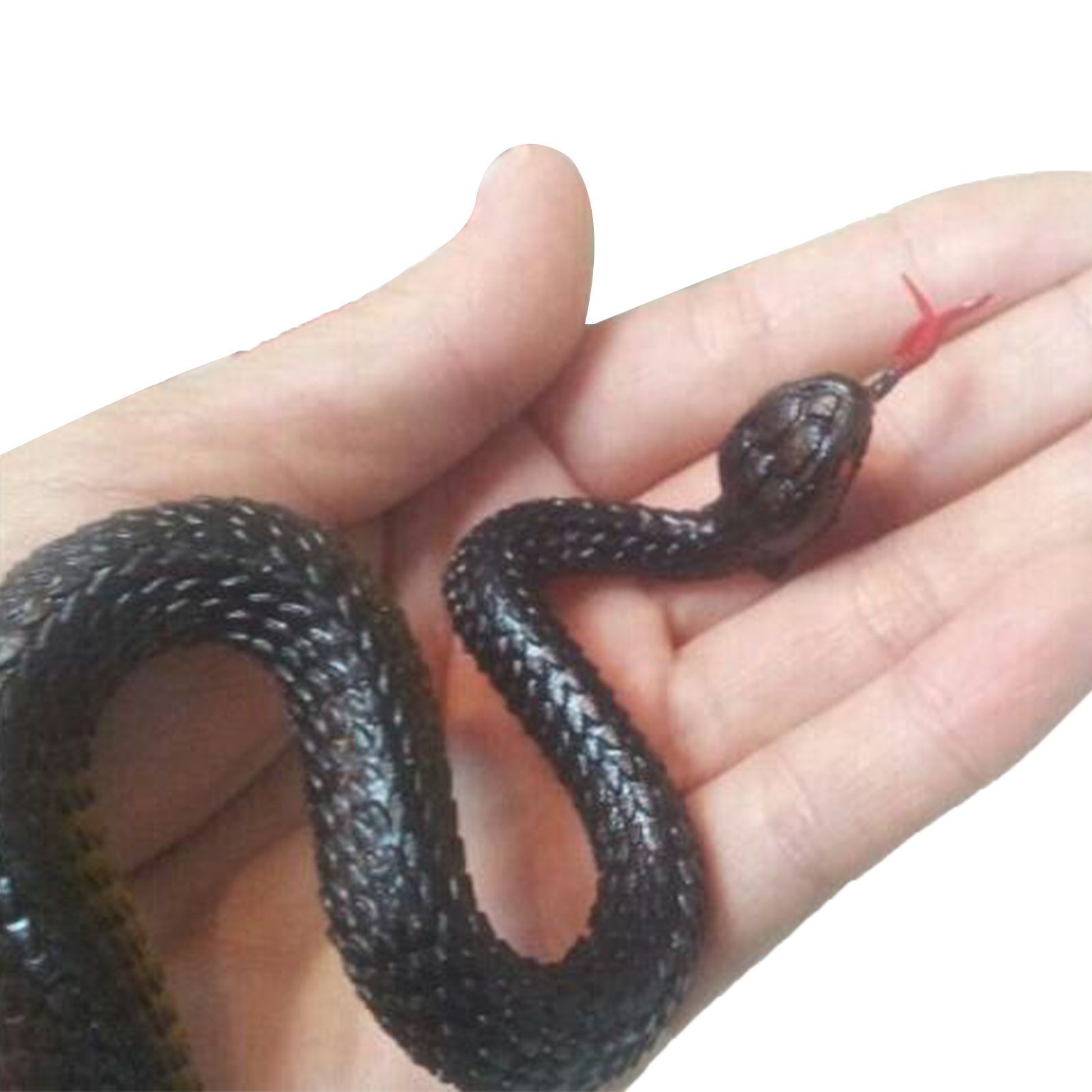 シミュレーション動物モデル ヘビ ゴム製蛇 ジグザグヘビ