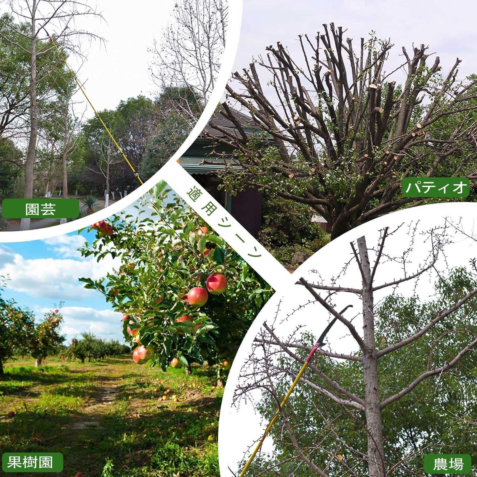 園芸用ノコギリ 4.2メートル