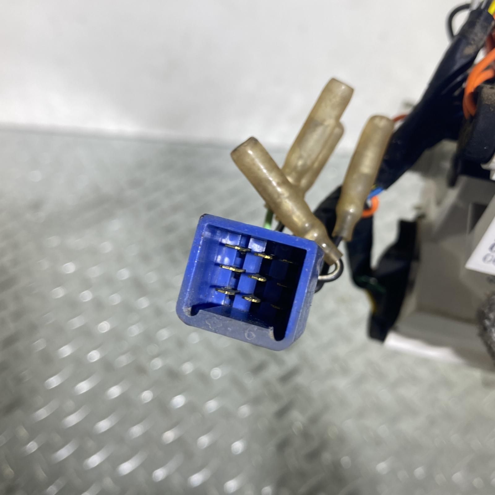 バーディー 50