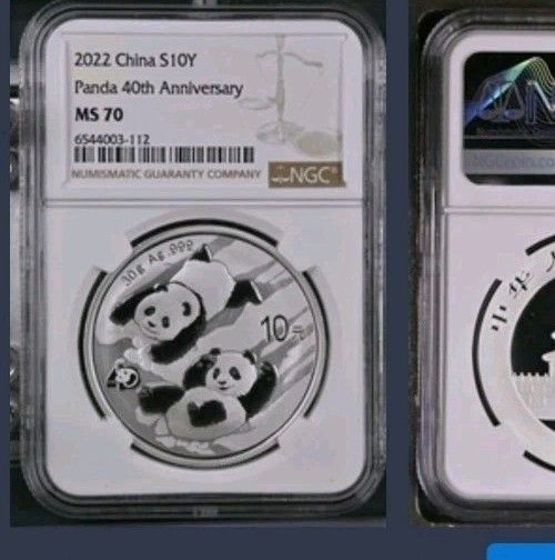 2025 China S10Y Panda 40th Anniversary NGC MS 70