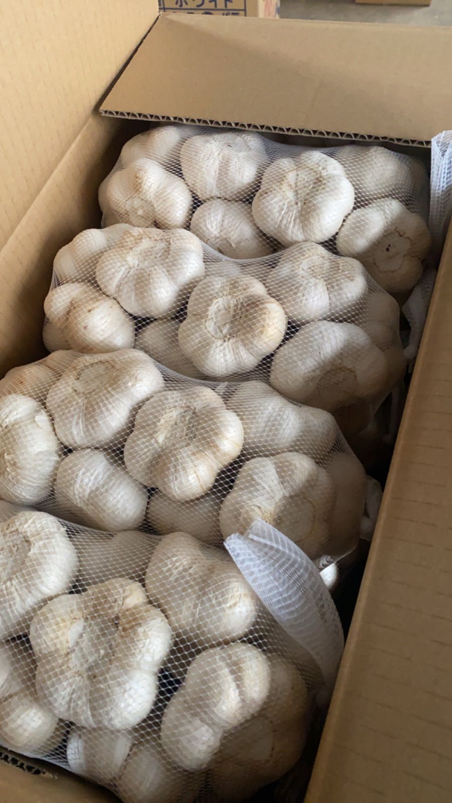 免疫力UP青森県 にんにく4キロ L 種