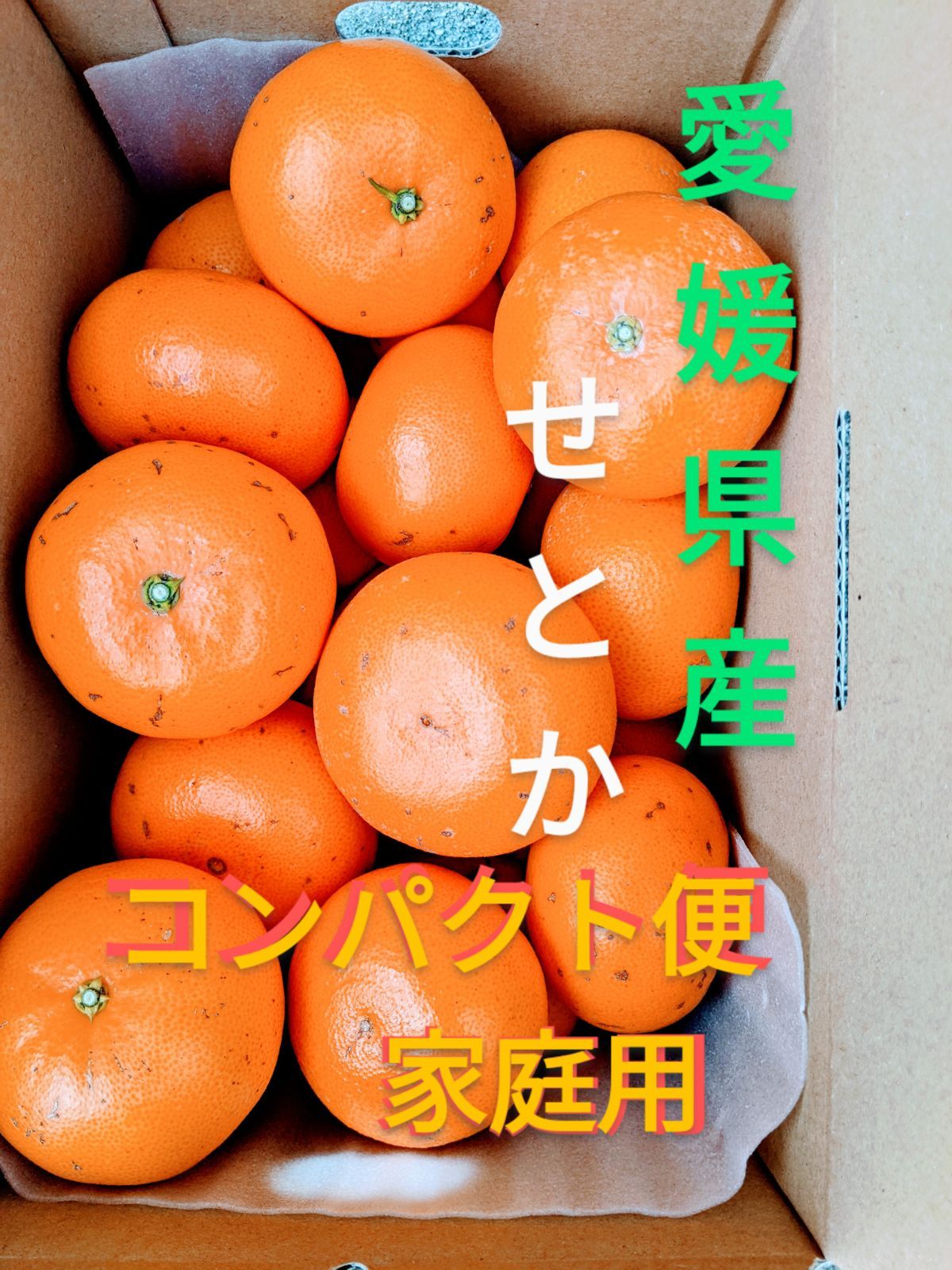 超特価SALE開催 愛媛県産 ハウスみかん コンパクト便 柑橘 ミカン
