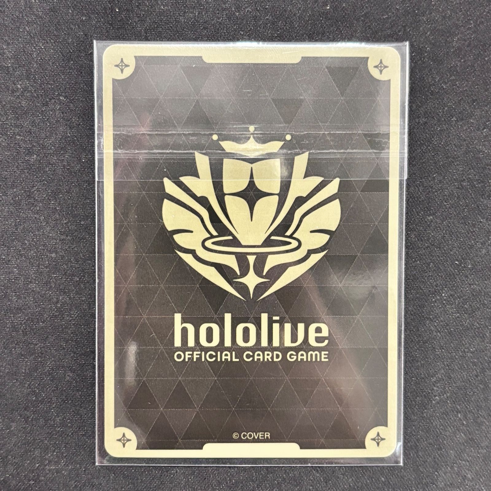 ホロカ フレンドリーパソコン 全国大会 プロモ hBP05-074 STEELWINDOWSANDDOORS_COM