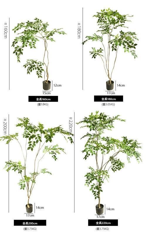 人工観葉 楡の木