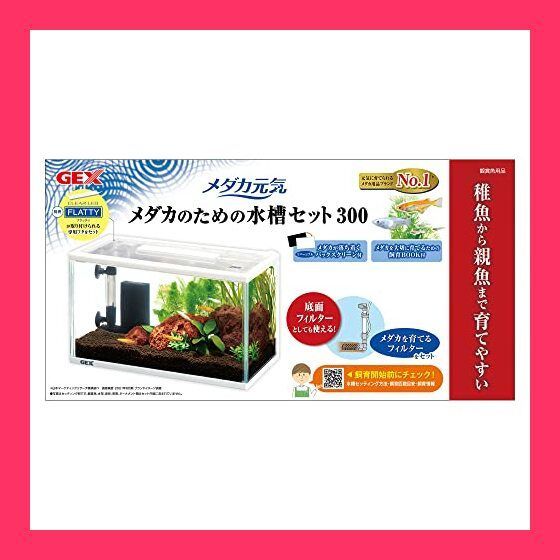 ジェックス GEX メダカ元気 メダカのための水槽セット300 メダカ専用設計 産卵・稚魚育成