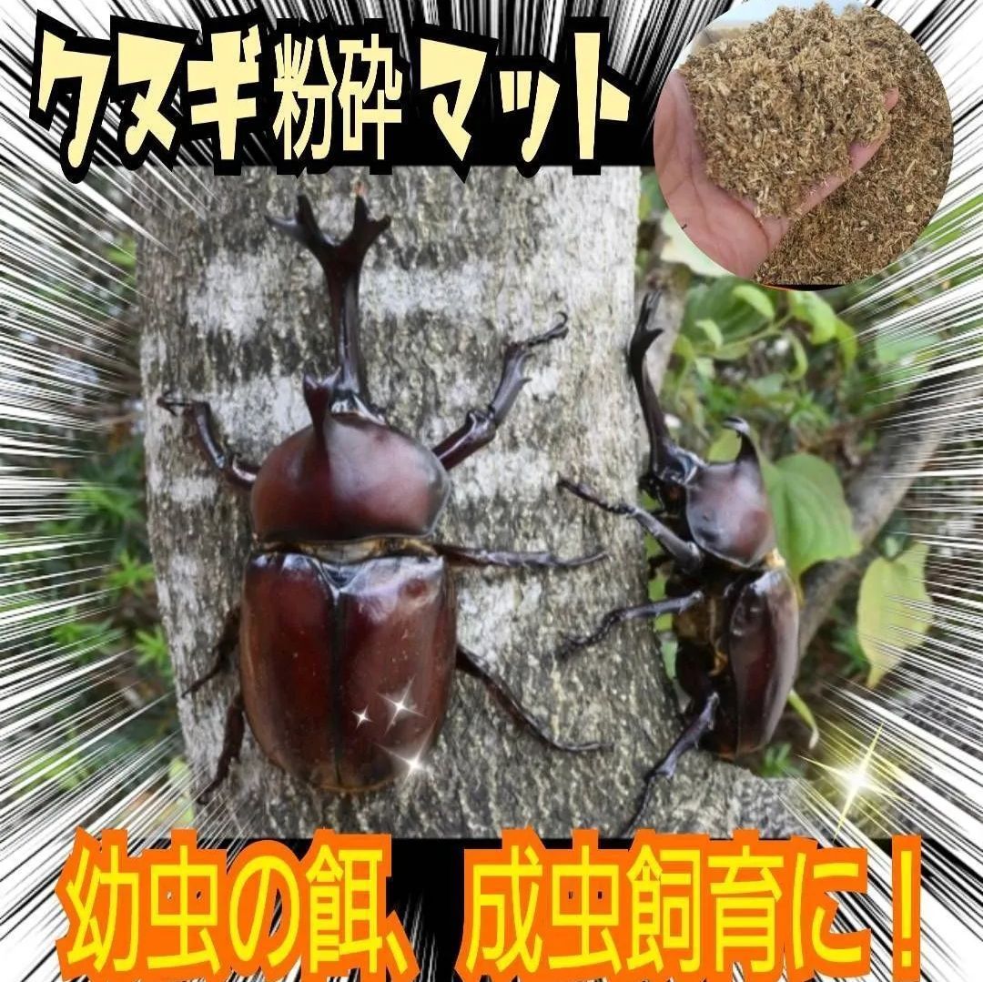 クワガタ、カブトムシの成虫管理はコレ！針葉樹マット☆爽やかな香りで飼育でき