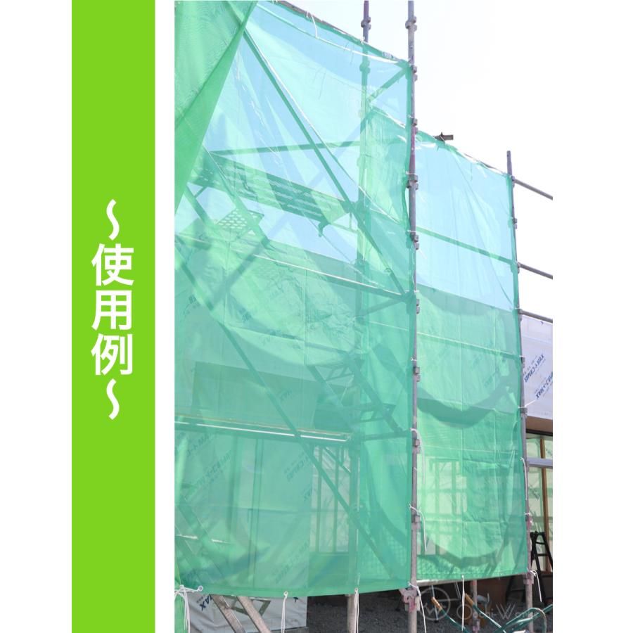 10枚入り