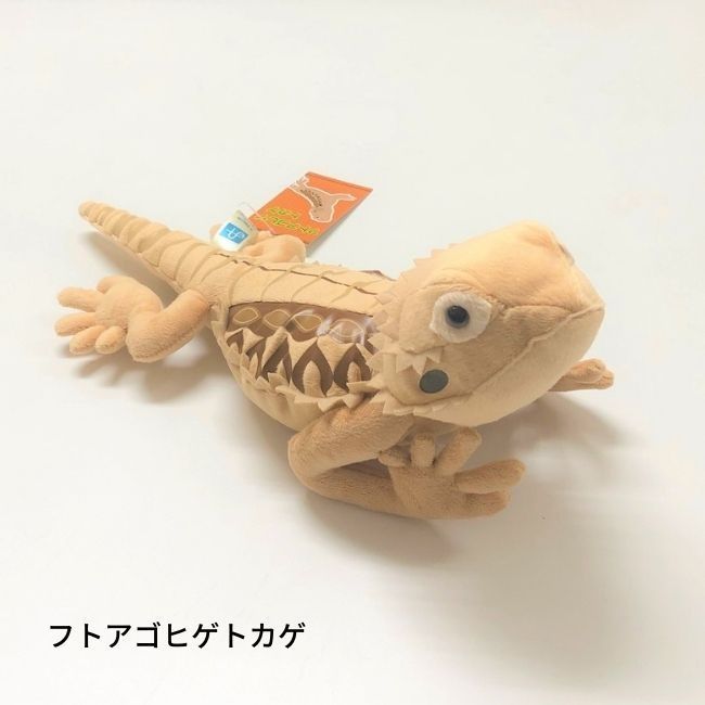 フトアゴヒゲトカゲ ぬいぐるみ リアル かわいい - メルカリ