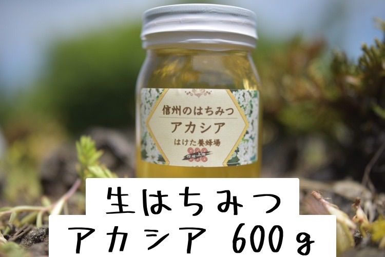 アカシア 生はちみつ 600g×2本 国産　蜂蜜 【生産者直送】 楽天市場】美濃蜂蜜 ハニーディスペンサー付き ギフトセット