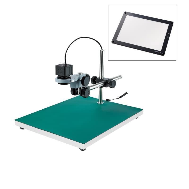 昆虫標本 テナガコガネ各種 クワガタモドキ 産地別コレクション研究用