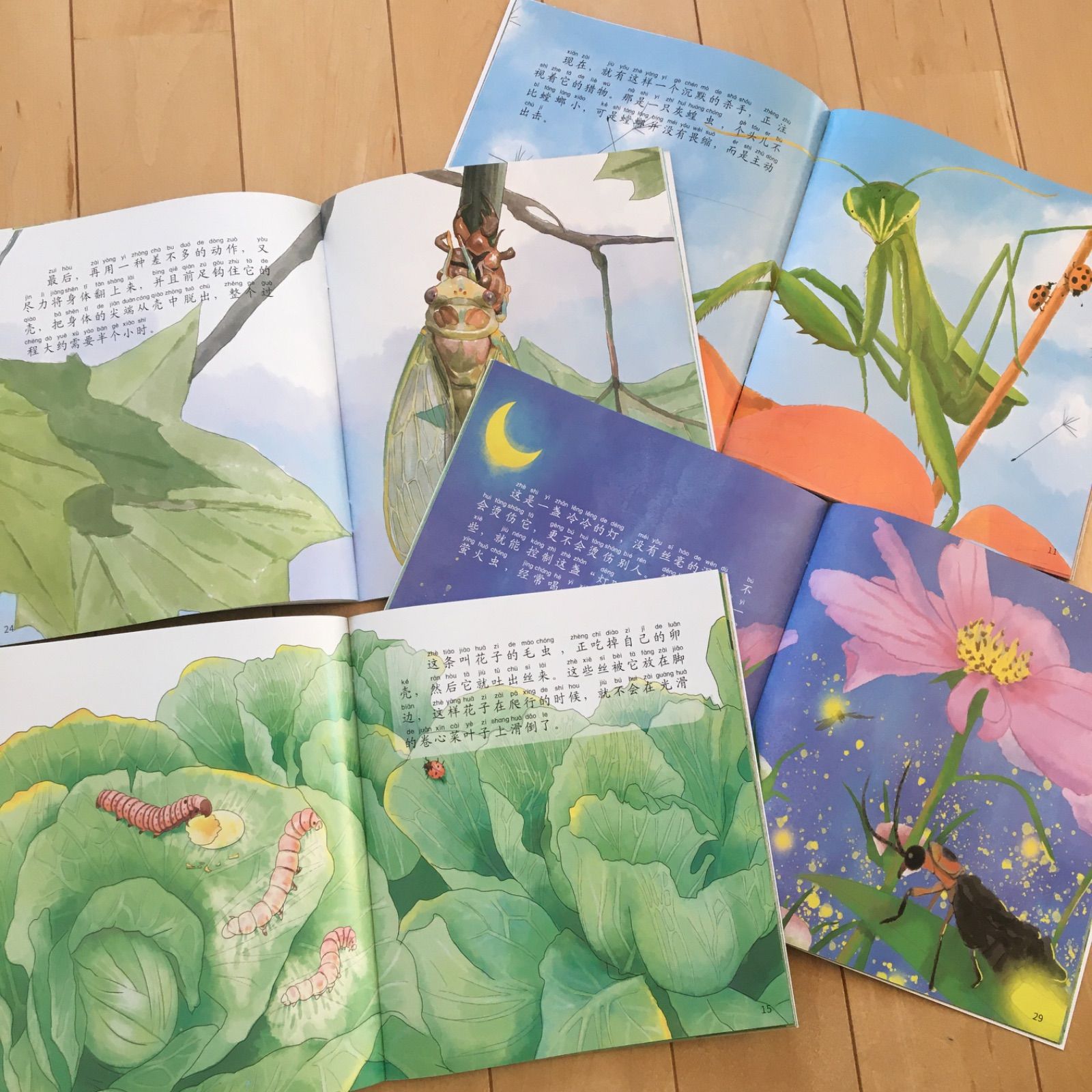 ファーブル昆虫記 10巻セット 中国語絵本 法布尔昆虫记 幼児向け