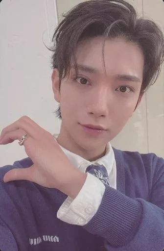 中古】コレクションカード(男性) SEVENTEEN/JOSHUA(ジョシュア)/裏面