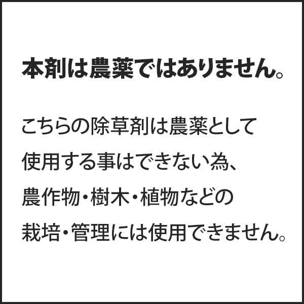 2本セット トムソン