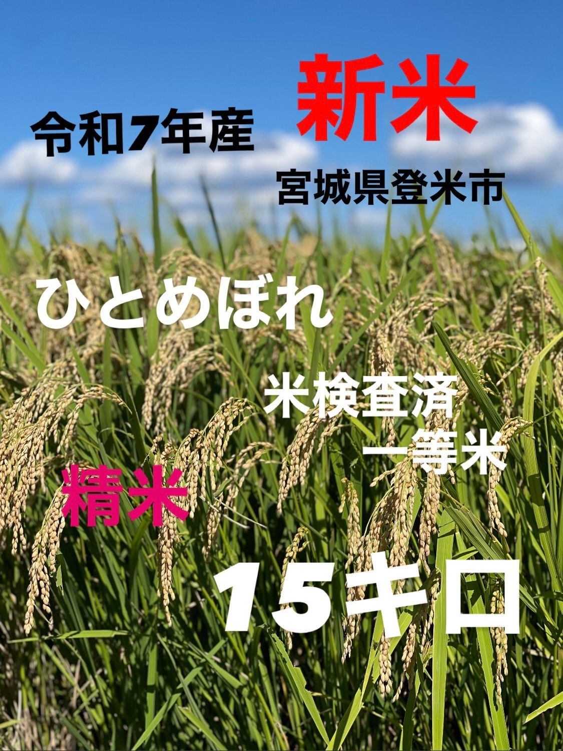 新米 令和7年産 ひとめぼれ 精米 一等米 15キロ 宮城県登米市