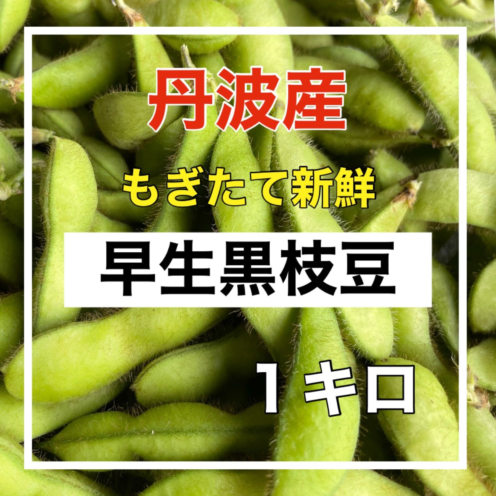 金曜日発送‼️丹波産‼️早生黒枝豆‼️コクと甘味の強い風味豊かな枝豆‼️もぎたて１キロ‼️ - メルカリ