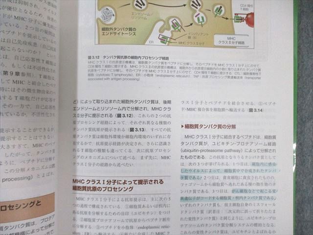 ELSEVIER 基礎免疫学 免疫系の機能とその異常 原著第6版 2020