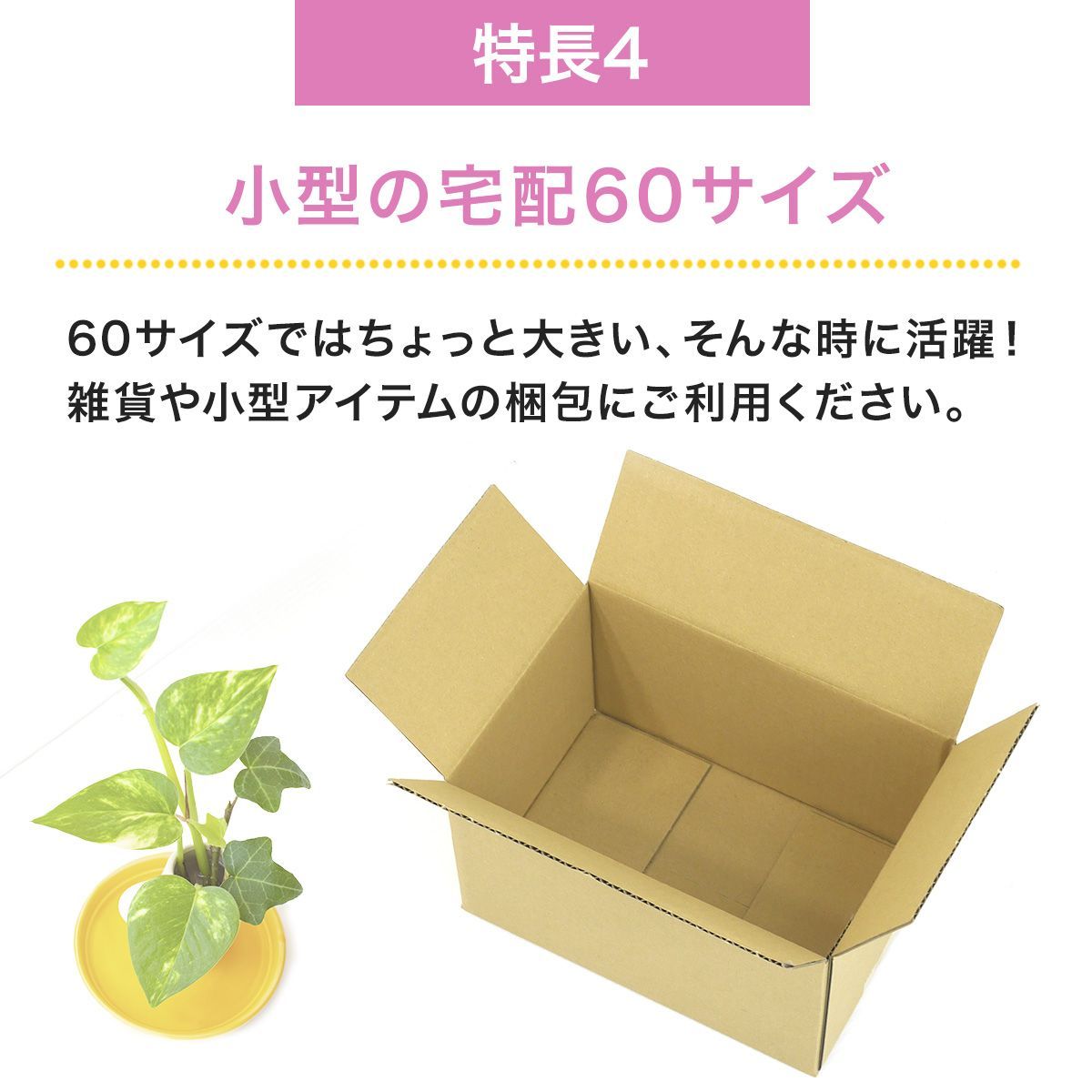 新品 ダンボール箱 50サイズ 50枚 工場直送 ダンボール 段ボール