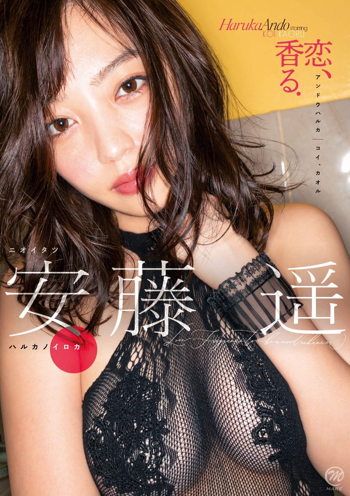 安藤遥 