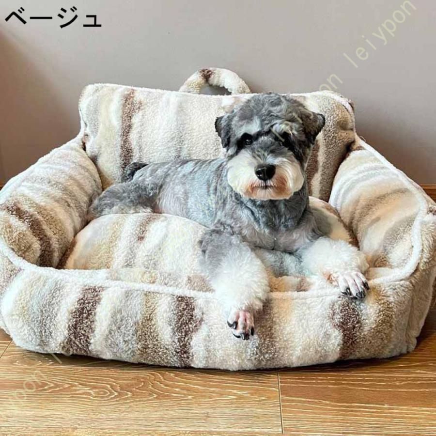 中型犬
