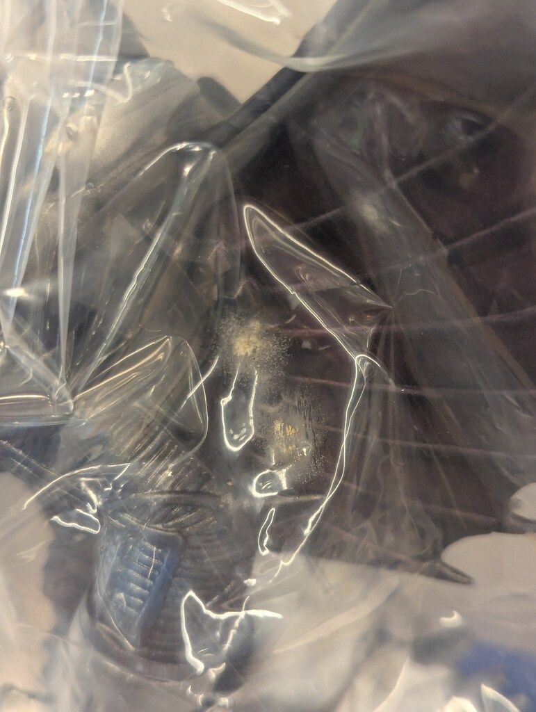 マーミット 世紀の大怪獣シリーズ ガイガン/フィギュア王誌上限定