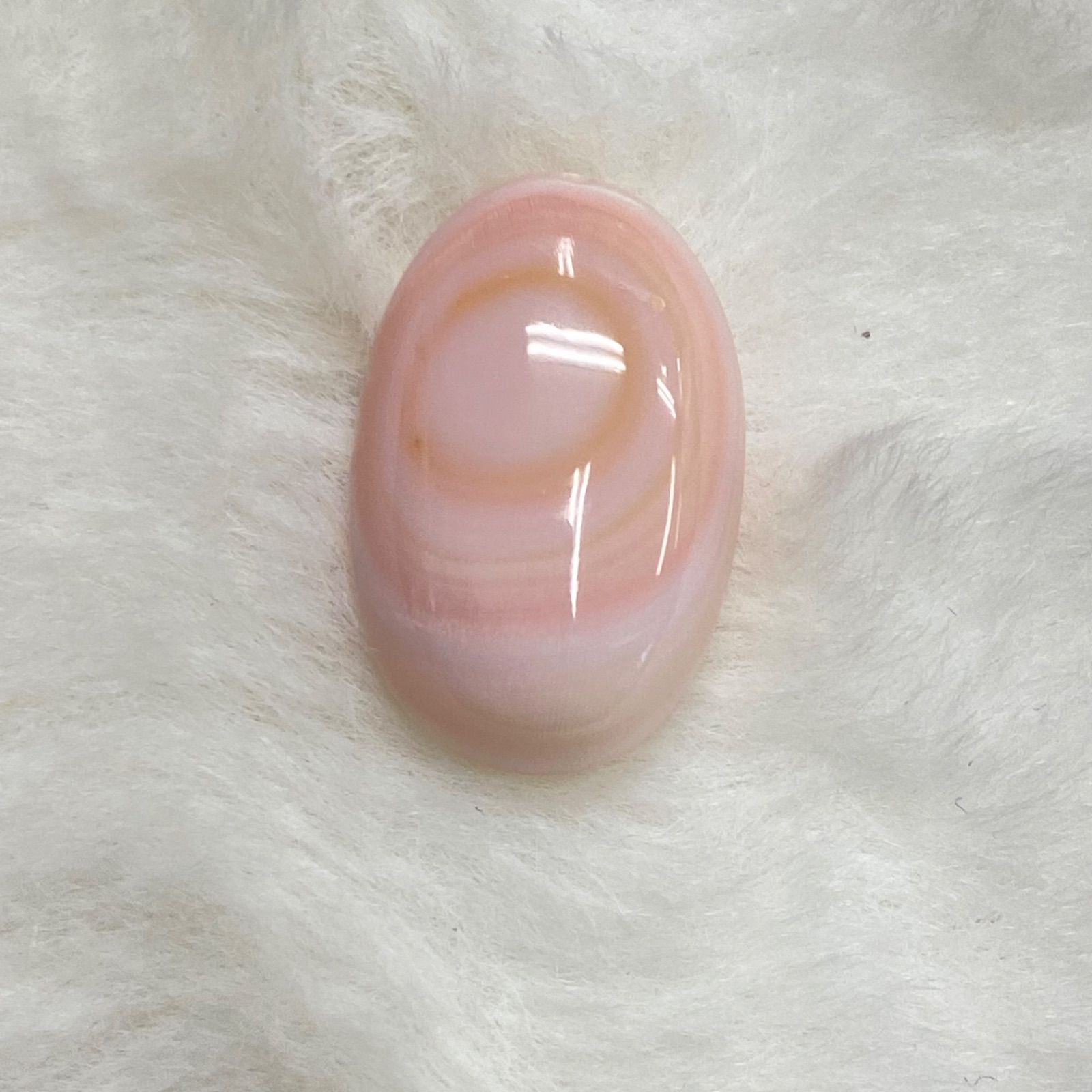 229  クィーンコンクシェル　オーバル　天然石ルース