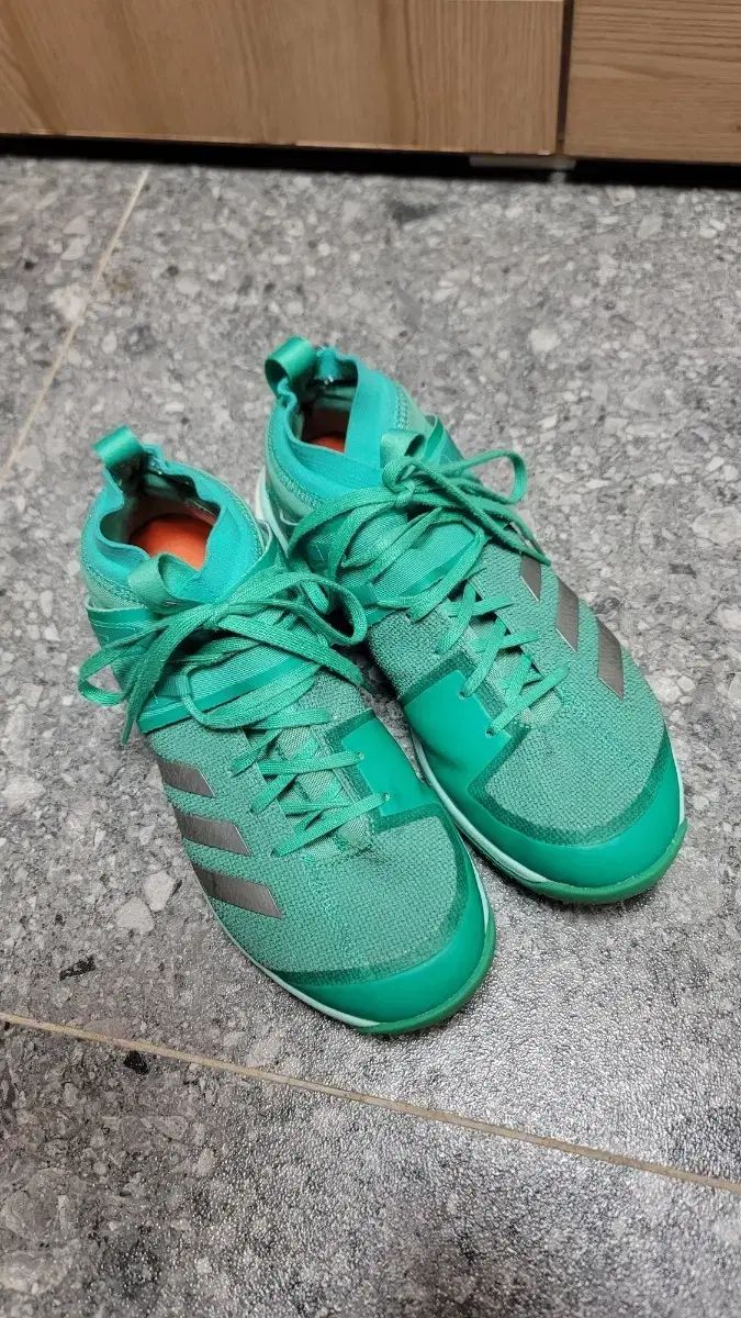 ほぼ新品！ バドミントンシューズ ウエーブクロー EL2 FIT 24cm 2E