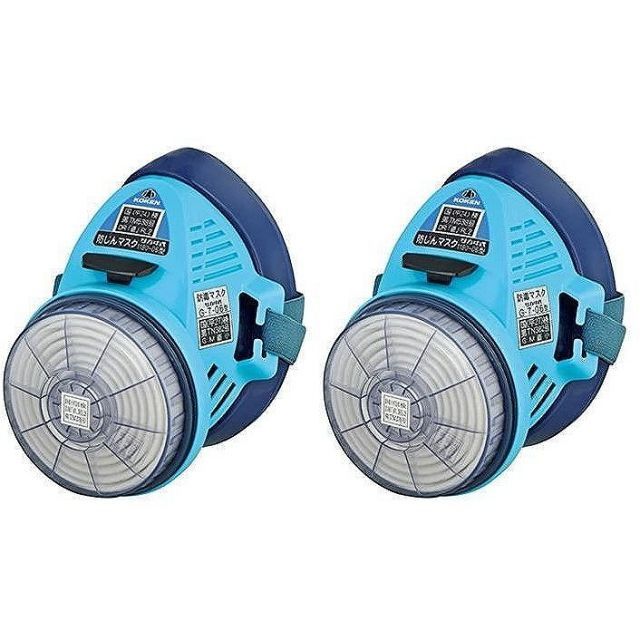 P. Lion Head ライオンヘッド ビカクシダ 株分け OC P. Lion