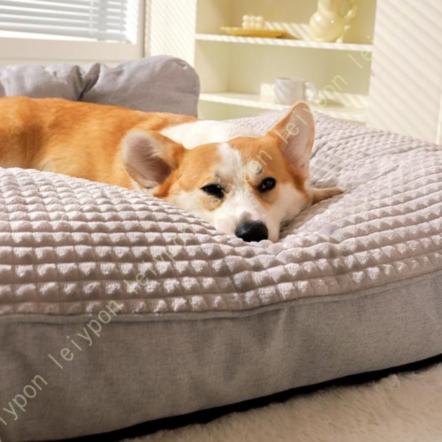 小動物用